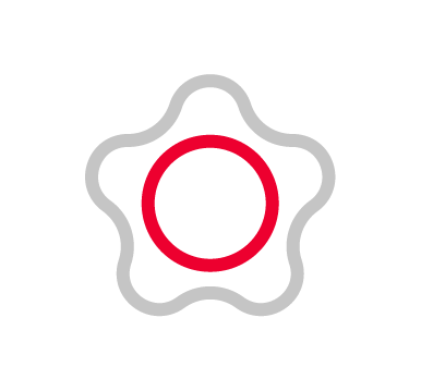 icon-estrella