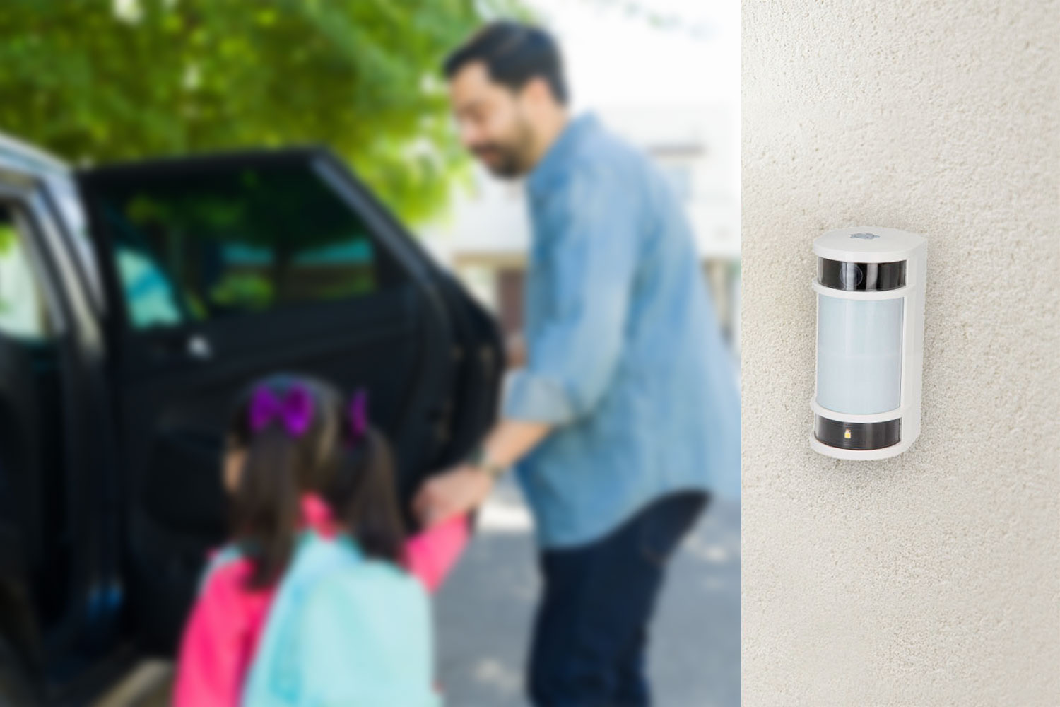 proteccion perimetral proteccion perimetral