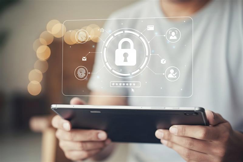 seguridad cibernetica seguridad cibernetica