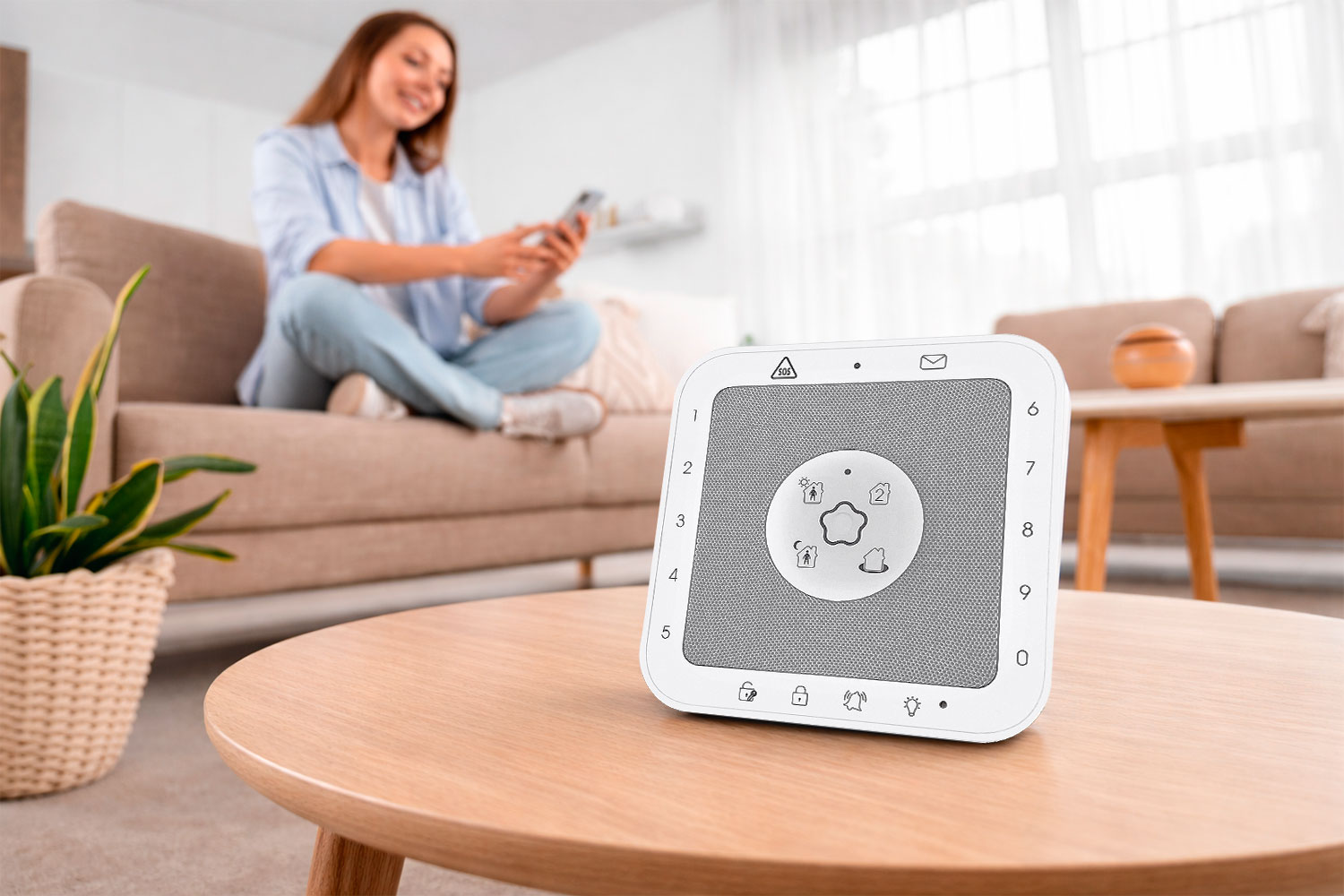 sistema de intrusion