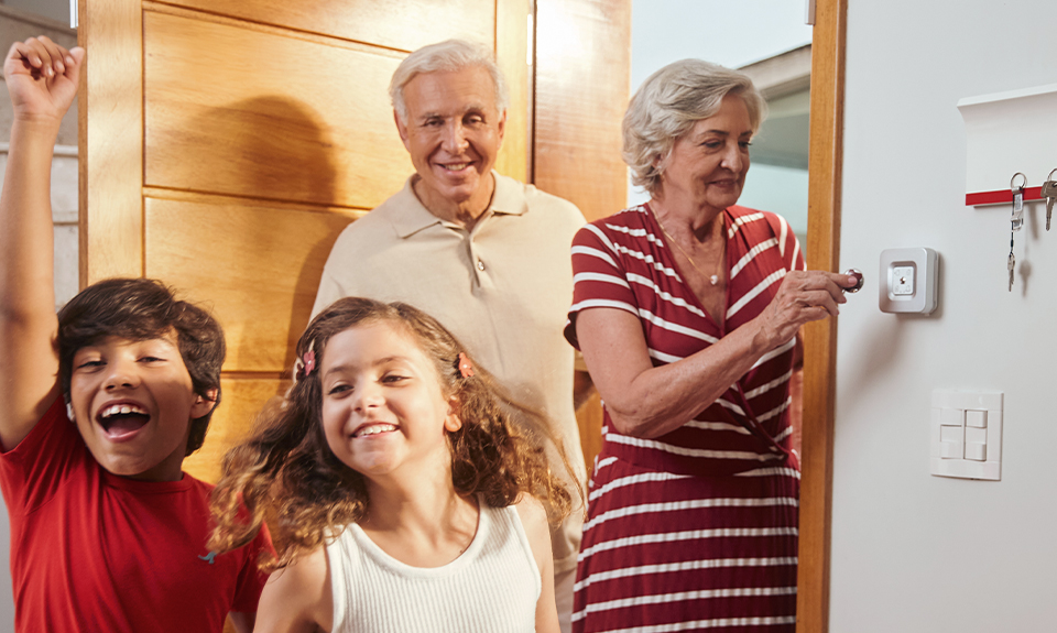 El sistema de seguridad El sistema de seguridad