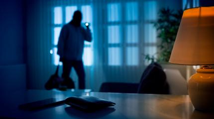 Todo sobre la delincuencia e inseguridad Todo sobre la delincuencia e inseguridad