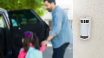 proteccion perimetral