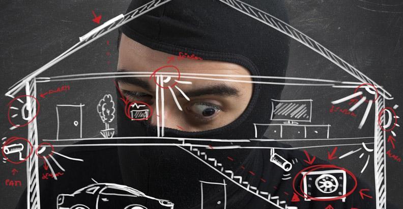 Perfil del ladrón durante el robo a vivienda Perfil del ladrón durante el robo a vivienda